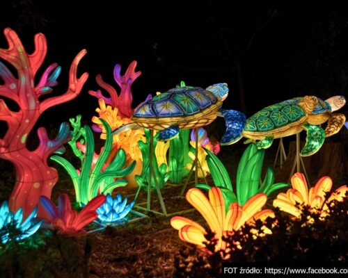 lights turtles