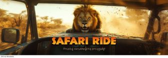 zoo wrocław safari ride