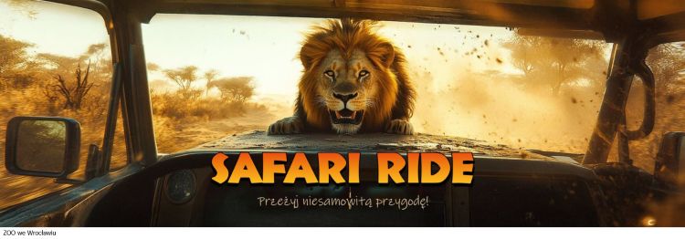 zoo wrocław safari ride