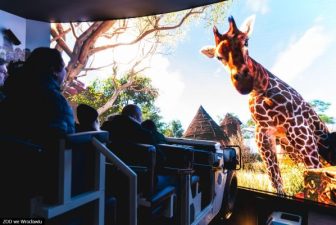 Safari ride matrix-19_mb