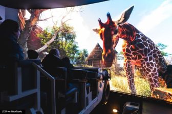 Safari ride matrix-20_mb