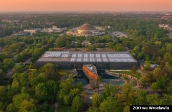 zoo poglądowe afrykarium z drona_mb