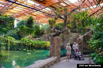 zoo poglądowe kongo_mb