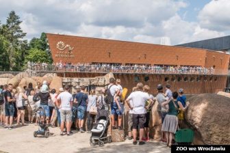 zoo poglądowe_mb